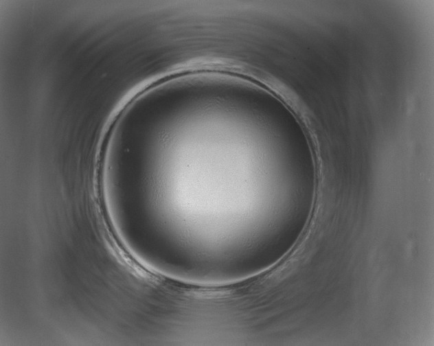X0000081351296200701111445