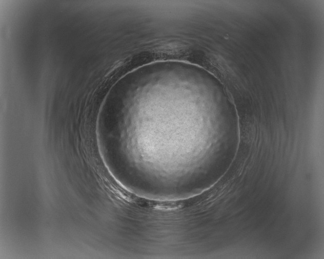 X0000081351297200701111444