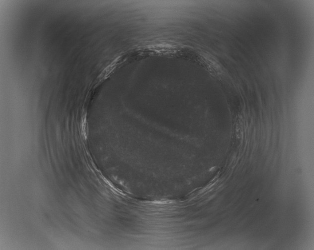X0000081351298200701111444