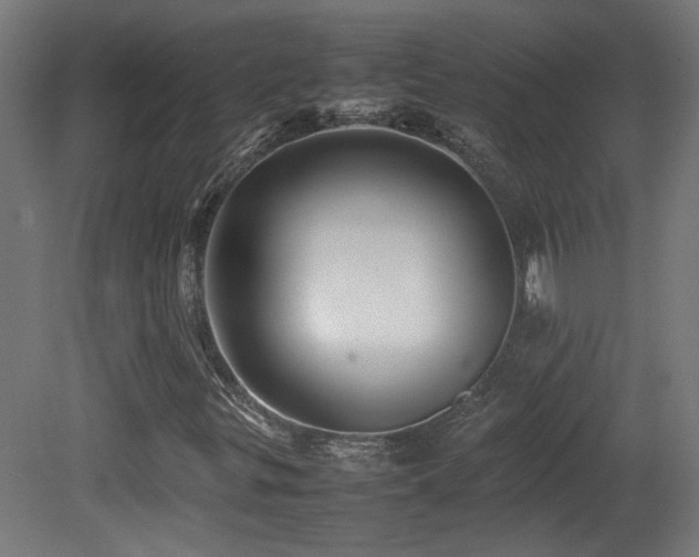 X0000081351299200701111444