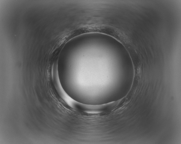 X0000081351300200701111444