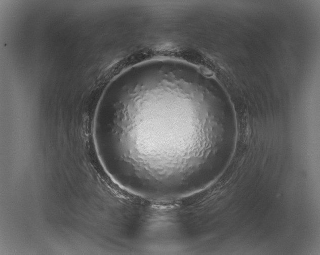 X0000081351301200701111444