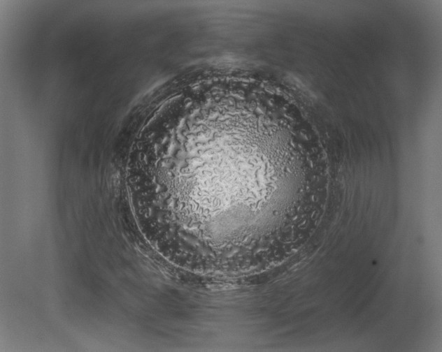 X0000081351302200701111444