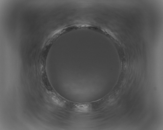 X0000081351303200701111444