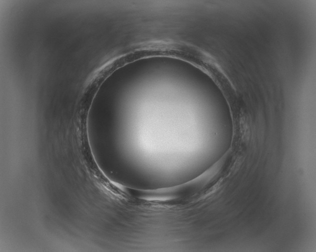 X0000081351304200701111444