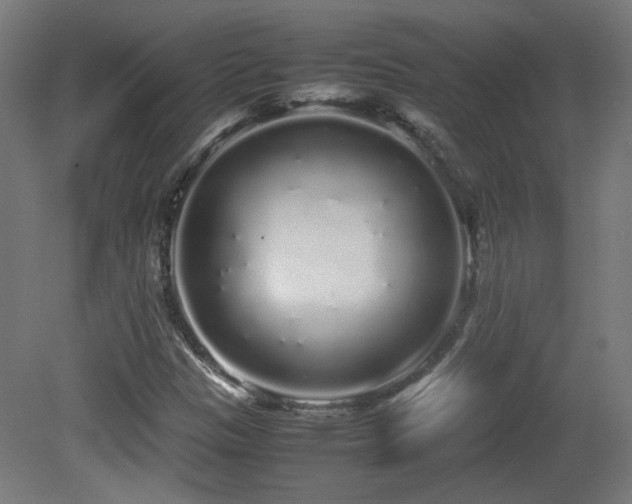 X0000081351305200701111444