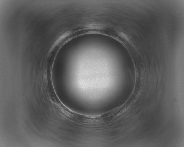 X0000081351307200701111444