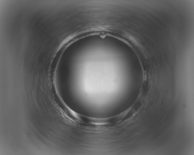 X0000081351308200701111444
