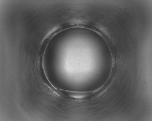 X0000081351309200701111444