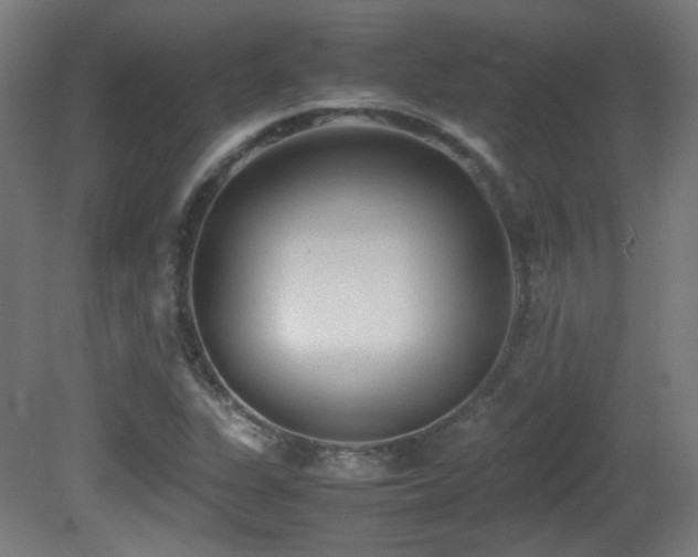 X0000081351311200701111444