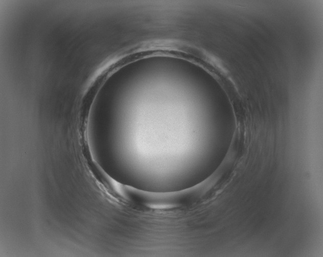 X0000081351312200701111444