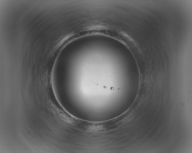 X0000081351313200701111444