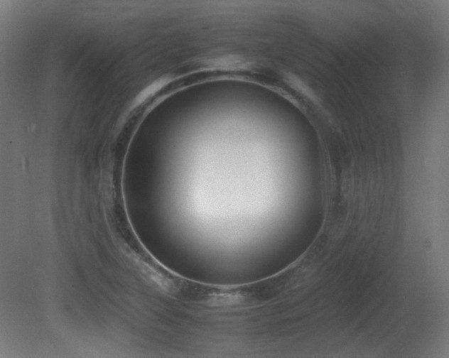 X0000081351315200701111444
