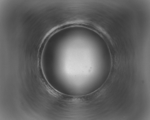 X0000081351316200701111445