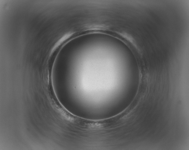 X0000081351317200701111445