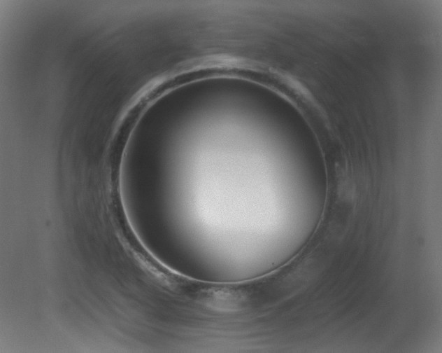 X0000081351318200701111445