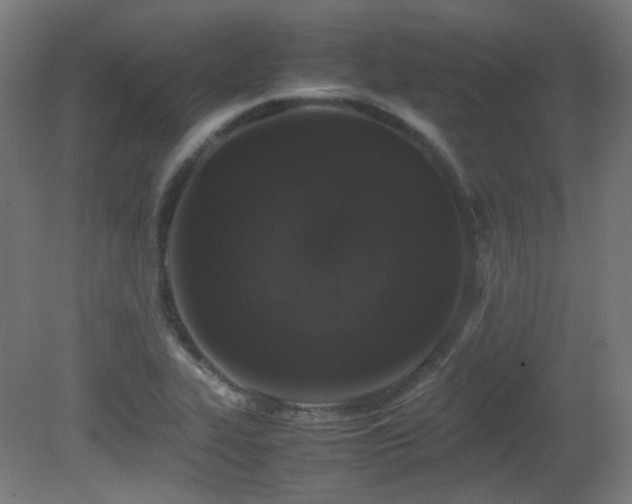 X0000081351319200701111445