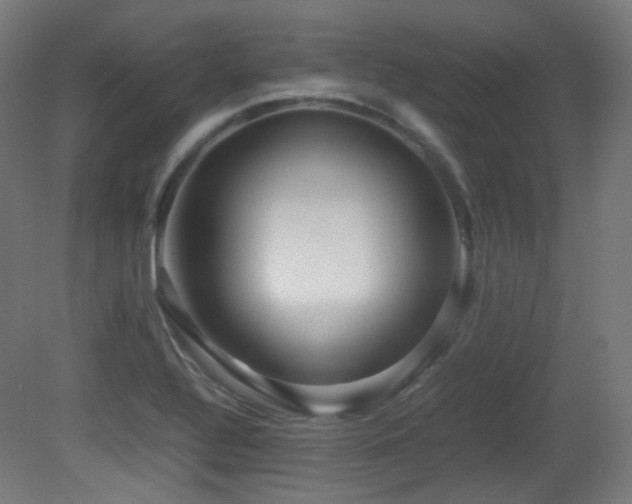 X0000081351320200701111445