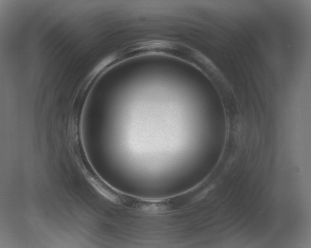 X0000081351321200701111445