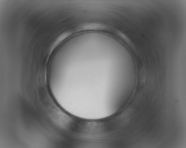 X0000081351322200701111445