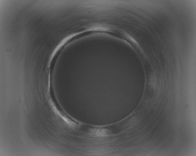 X0000081351323200701111445