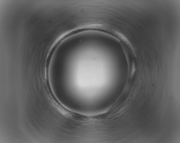 X0000081351324200701111445