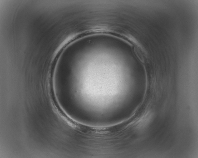 X0000081351325200701111445
