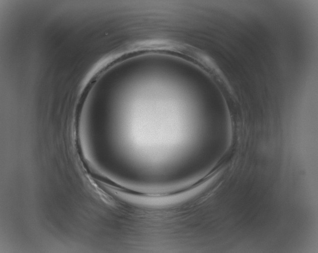 X0000081351328200701111445
