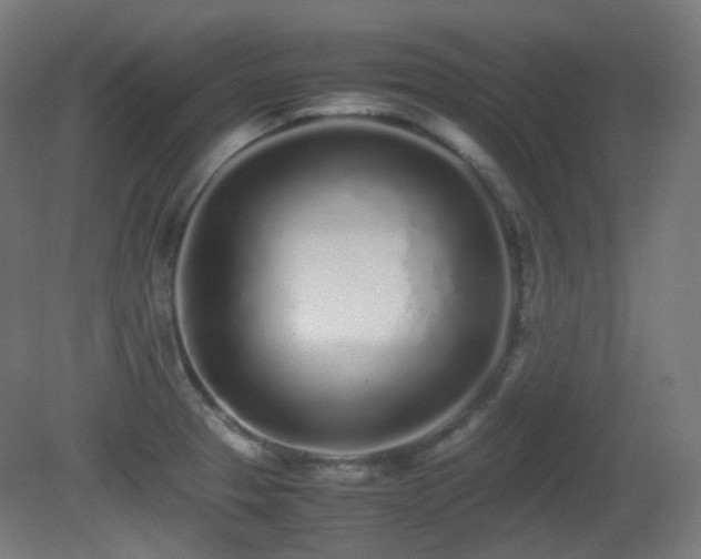 X0000081351329200701111445