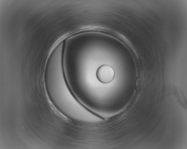 X0000081351330200701111445