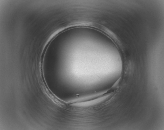 X0000081351332200701111445