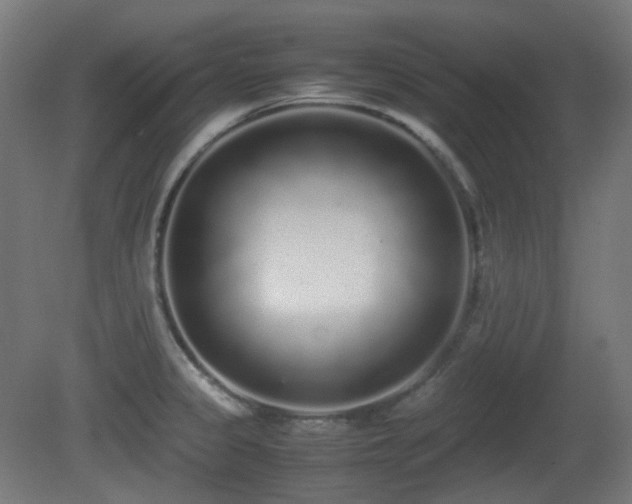 X0000081351333200701111445