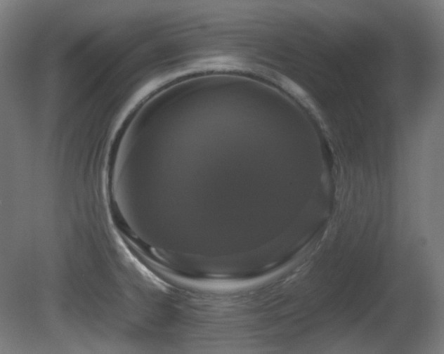 X0000081351334200701111445