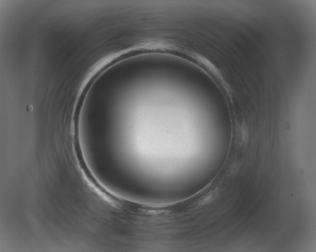 X0000081351335200701111445