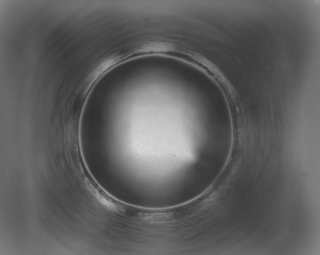 X0000081351337200701111445