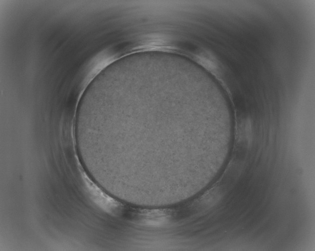 X0000081351338200701111445