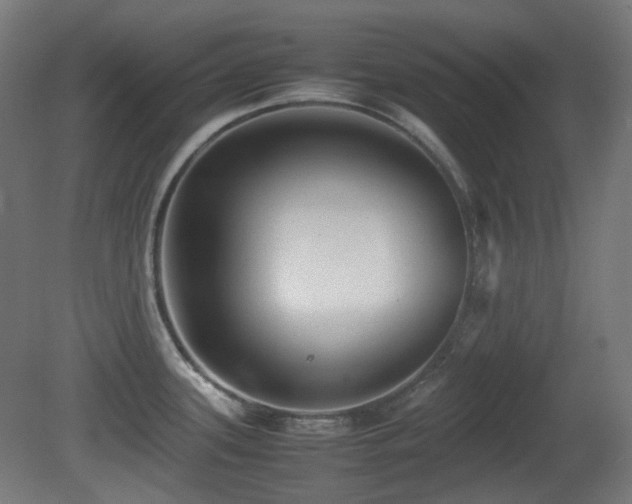 X0000081351339200701111445