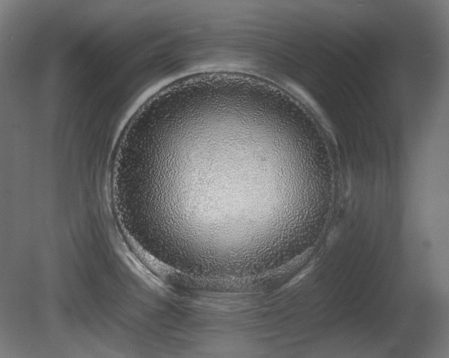 X0000081351340200701111445