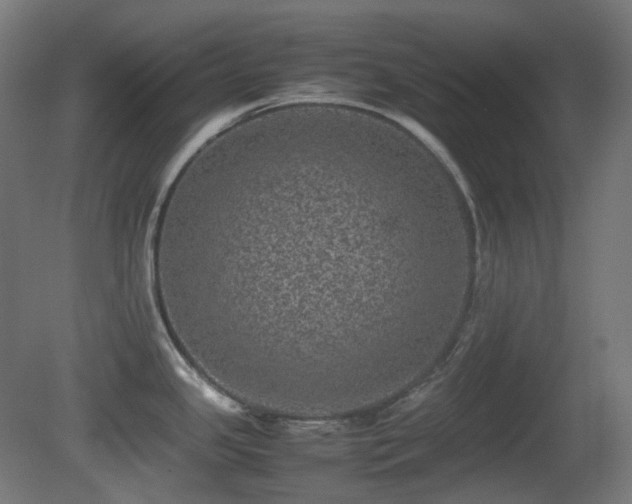 X0000081351341200701111445