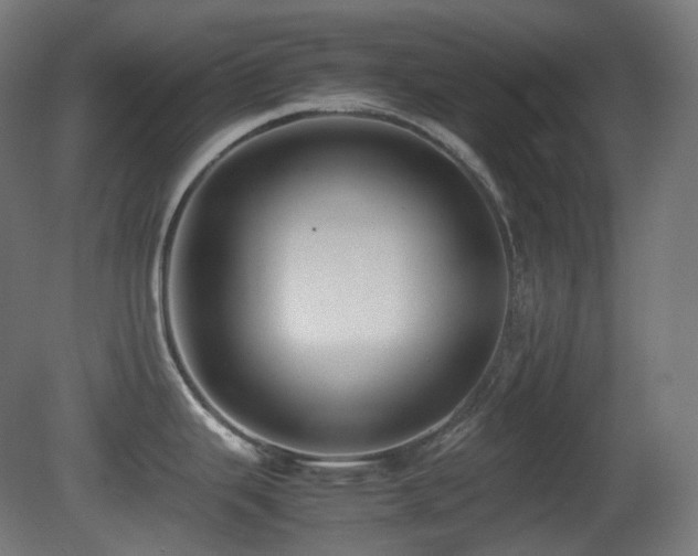 X0000081351343200701111445