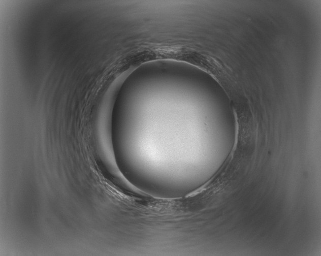 X0000081351345200701111444