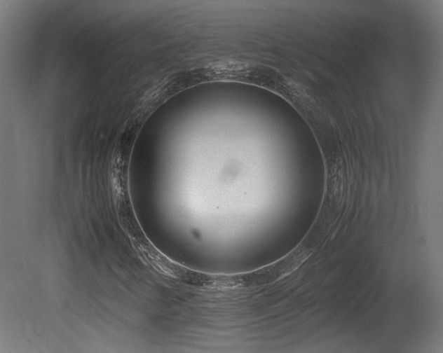 X0000081351346200701111444