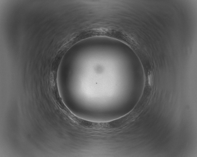 X0000081351347200701111444