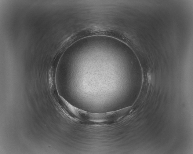 X0000081351348200701111444