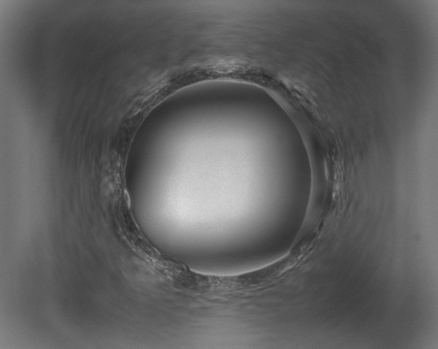 X0000081351349200701111444