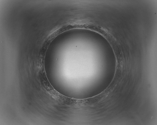 X0000081351350200701111444