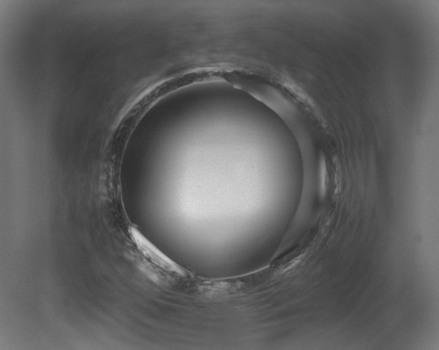 X0000081351352200701111444