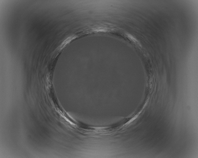 X0000081351353200701111444