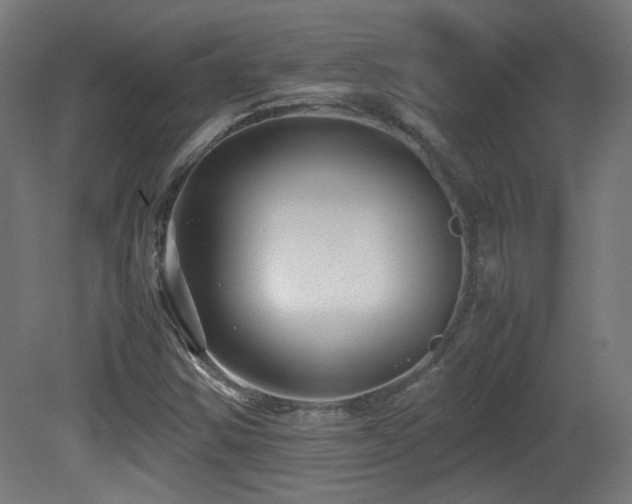 X0000081351354200701111444