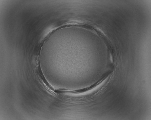 X0000081351355200701111444